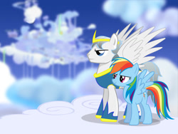 Size: 900x675 | Tagged: safe, artist:mace66vw, rainbow dash, oc, pegasus, pony, duo, female, male, mare, stallion