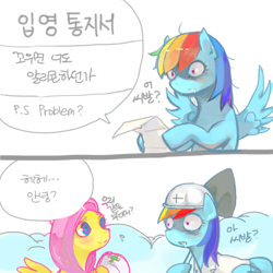 Size: 600x600 | Tagged: safe, artist:sjui00, fluttershy, rainbow dash, pegasus, pony, comic, korean