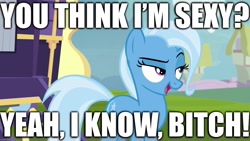 Size: 1280x720 | Tagged: safe, derpibooru import, edit, edited screencap, editor:useraccount, screencap, trixie, pony, unicorn, road to friendship, cocky, female, image macro, mare, meme, sexy, solo, trixie yells at everything, truth