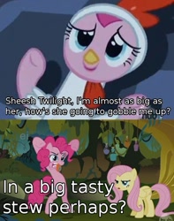 Size: 485x617 | Tagged: safe, fluttershy, pinkie pie, earth pony, pegasus, pony, chicken suit, clothes, image macro