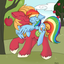 Size: 1000x1000 | Tagged: safe, artist:lustrous-dreams, big macintosh, rainbow dash, earth pony, pegasus, pony, hug, male, ponyback ride, rainbowmac, shipping, stallion, straight, winghug