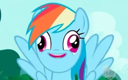 Size: 492x311 | Tagged: safe, rainbow dash, pegasus, pony, blue coat, derp, female, hub logo, hubble, mare, multicolored mane, solo