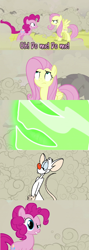 Size: 960x2699 | Tagged: safe, fluttershy, pinkie pie, earth pony, pegasus, pony, comic, crossover, doomie, pinky, pinky and the brain