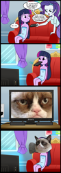 Size: 712x1999 | Tagged: safe, artist:madmax, edit, rarity, twilight sparkle, cat, human, equestria girls, comic, exploitable meme, grumpy cat, i pity the dead who can no longer know such joys, meme, mouth hold, pony (sony), remote, television, towel, tv meme, wat, what's wrong with this place