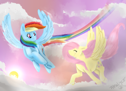 Size: 979x710 | Tagged: safe, artist:aleuwolfess, fluttershy, rainbow dash, pegasus, pony, duo, female, flying, looking at each other, mare, palindrome get, sky, smiling, spread wings, windswept mane, wings