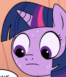 Size: 258x302 | Tagged: safe, artist:madmax, twilight sparkle, cropped, frown, solo, sweat