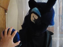 Size: 960x720 | Tagged: safe, princess luna, human, fursuit, irl, irl human, photo, polish, polish luna