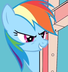 Size: 565x600 | Tagged: safe, rainbow dash, pegasus, pony, female, mare, parody, that fucking cat, that fucking dash, wings