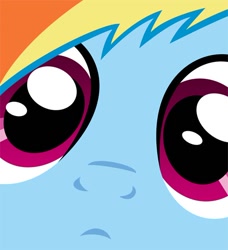 Size: 500x549 | Tagged: artist needed, safe, rainbow dash, pegasus, pony, close up series, close-up, extreme close up, solo, stare