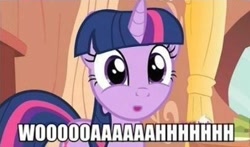 Size: 406x238 | Tagged: safe, derpibooru import, twilight sparkle, caption, image macro, meme, reaction image, solo, surprised