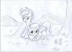 Size: 3509x2550 | Tagged: safe, artist:vd-dv, applejack, fluttershy, earth pony, pegasus, pony, appleshy, female, high res, lesbian, monochrome, shipping