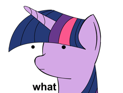 Size: 2000x1500 | Tagged: artist needed, safe, derpibooru import, twilight sparkle, dot eyes, reaction image, wat