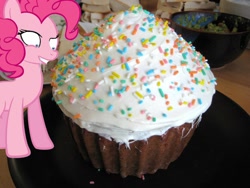 Size: 1600x1200 | Tagged: safe, pinkie pie, pony, cupcake, irl, photo, ponies in real life