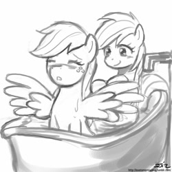 Size: 850x850 | Tagged: safe, artist:johnjoseco, applejack, rainbow dash, earth pony, pegasus, pony, fanfic:those blue wings, appledash, bath, fanfic, female, flapplejack, grayscale, lesbian, monochrome, shipping