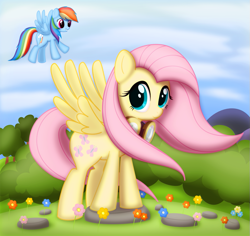 Size: 881x830 | Tagged: safe, artist:ctb-36, fluttershy, rainbow dash, pegasus, pony, female, goggles, mare, wings