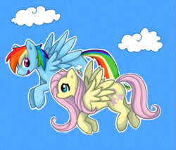 Size: 681x578 | Tagged: safe, artist:breezyrach, fluttershy, rainbow dash, pegasus, pony, blue coat, female, mare, multicolored mane, pink mane, wings, yellow coat