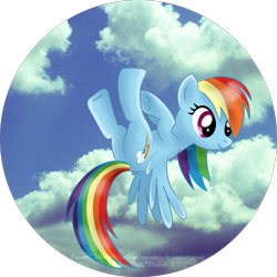 Size: 1683x1683 | Tagged: safe, artist:tiffanymarsou, rainbow dash, pegasus, pony, blue coat, blue wings, female, mare, multicolored mane, simple background, smiling, solo