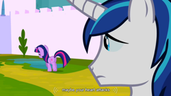 Size: 854x480 | Tagged: safe, screencap, shining armor, twilight sparkle, pony, unicorn, meme, youtube caption