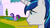 Size: 854x480 | Tagged: safe, screencap, shining armor, twilight sparkle, pony, unicorn, meme, youtube caption