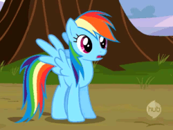 Size: 640x480 | Tagged: safe, screencap, rainbow dash, pegasus, pony, may the best pet win, animated, blinking, cropped, solo