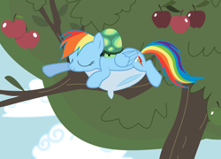 Size: 2190x1573 | Tagged: safe, artist:tgolyi, rainbow dash, tank, pegasus, pony, apple, apple tree, food, pillow, sleeping, svg, tree