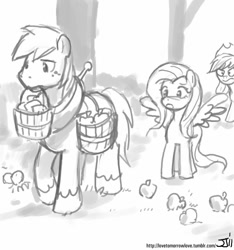 Size: 748x800 | Tagged: safe, artist:johnjoseco, applejack, big macintosh, fluttershy, earth pony, pegasus, pony, apple, fluttermac, grayscale, male, monochrome, shipping, stallion, straight, wingboner