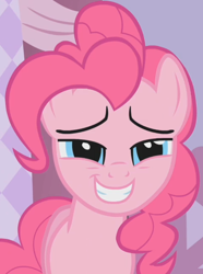 Size: 544x732 | Tagged: safe, screencap, pinkie pie, earth pony, pony, eyebrows, female, mare, pink coat, pink mane, smiling