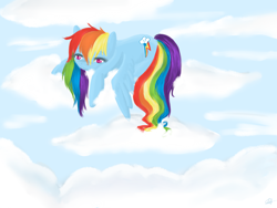Size: 1400x1050 | Tagged: safe, artist:valkyrieskies, rainbow dash, pegasus, pony, blue coat, blue wings, female, mare, multicolored mane, simple background, smiling, solo