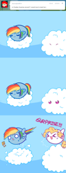 Size: 645x1677 | Tagged: safe, artist:pekou, rainbow dash, surprise, pegasus, pony, ask my little chubbies, g1, ask, chubbie, comic, tumblr