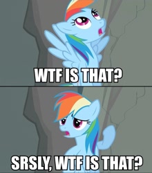 Size: 844x960 | Tagged: safe, rainbow dash, pegasus, pony, female, flying, image macro, mare, open mouth, pointing, reaction image, solo, wtf