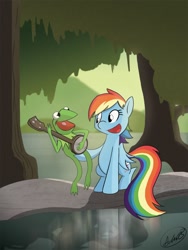 Size: 900x1200 | Tagged: dead source, safe, artist:adamrbi, rainbow dash, frog, pegasus, pony, amphibian, banjo, crossover, duo, kermit the frog, musical instrument, rainbow connection, the muppets