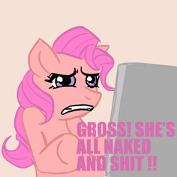 Size: 500x500 | Tagged: safe, pinkie pie, earth pony, pony, computer, disgusted, hooves, i can't clop to this, vulgar