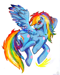 Size: 600x748 | Tagged: safe, artist:qualia-matsuri, rainbow dash, pegasus, pony, solo