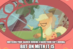 Size: 959x642 | Tagged: safe, edit, edited screencap, screencap, applejack, earth pony, pony, look before you sleep, caption, hose, image macro, meth, mud, public service announcement, rain, solo, text, tree