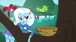 Size: 1920x1080 | Tagged: safe, derpibooru import, screencap, trixie, bird, a little birdie told me, better together, equestria girls, bird nest, cute, diatrixes, female, nest, solo, tree, tree branch