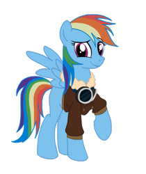 Size: 819x976 | Tagged: safe, artist:wolfsknight, rainbow dash, pegasus, pony, clothes, goggles, jacket, simple background, transparent background, vector