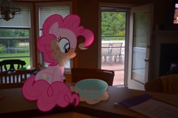 Size: 2464x1632 | Tagged: safe, artist:oppositebros, pinkie pie, pony, irl, oatmeal, photo, ponies in real life, vector