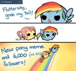 Size: 724x676 | Tagged: safe, artist:pekou, fluttershy, rainbow dash, pegasus, pony, ask my little chubbies, chubbie, cute, exploitable meme, grab my meme