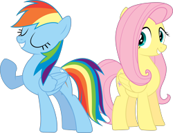 Size: 5000x3854 | Tagged: safe, artist:joey, fluttershy, rainbow dash, pegasus, pony, simple background, transparent background, vector