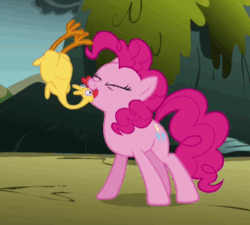 Size: 400x360 | Tagged: safe, screencap, pinkie pie, earth pony, pony, dragonshy, animated, artifact, cute, diapinkes, eyes closed, mouth hold, playing, rubber chicken, smiling, solo