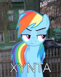 Size: 288x366 | Tagged: safe, rainbow dash, pegasus, pony, blue coat, female, mare, meme, multicolored mane, solo, xynta