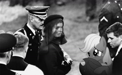 Size: 1600x976 | Tagged: safe, artist:davca, applejack, human, pony, assassination, crying, funeral, hat, irl, irl human, jackie kennedy, jfk assassination, john f. kennedy, photo, ponies in real life, rfk, robert f. kennedy, sad, vector