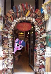 Size: 432x627 | Tagged: safe, derpibooru import, twilight sparkle, book, irl, library, photo, ponies in real life, that pony sure does love books