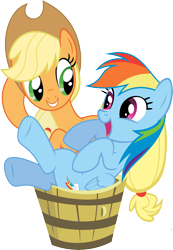 Size: 8495x12252 | Tagged: safe, artist:daydreamsyndrom, applejack, rainbow dash, earth pony, pegasus, pony, absurd resolution, bucket, duo, simple background, transparent background, vector
