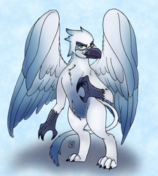 Size: 2460x2728 | Tagged: safe, artist:dimvitrarius, derpibooru import, oc, oc only, oc:ghislain, griffon, beak, chest fluff, claws, colored wings, commission, gradient, gradient background, gradient wings, griffon oc, male, scar, simple background, solo, spread wings, standing, wings