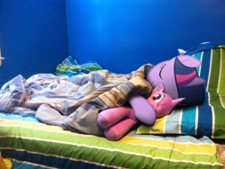 Size: 1024x768 | Tagged: safe, derpibooru import, twilight sparkle, bed, cute, hasbro, irl, photo, plushie, ponies in real life, sleeping