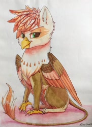 Size: 1600x2213 | Tagged: safe, artist:penny-wren, derpibooru import, oc, oc:ember burd, griffon, eared griffon, griffon oc, simple background, sitting, solo, traditional art, watercolor painting, white background