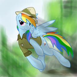 Size: 2200x2200 | Tagged: safe, artist:cymek, daring do, rainbow dash, pegasus, pony, high res, solo