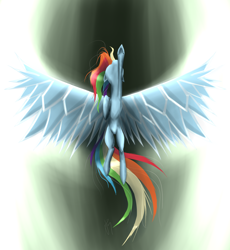 Size: 2300x2500 | Tagged: safe, artist:killamnjaro, rainbow dash, pegasus, pony, blue coat, female, high res, mare, multicolored mane, solo