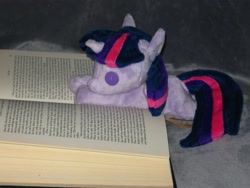 Size: 2592x1944 | Tagged: safe, artist:whiteheather, derpibooru import, twilight sparkle, beanie (plushie), book, grimm's complete fairy tales, irl, photo, plushie, solo